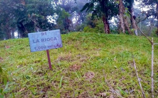Venta de Lote 91 Anexo La Rioca, La Laguna, Altos del María – MLS 20743