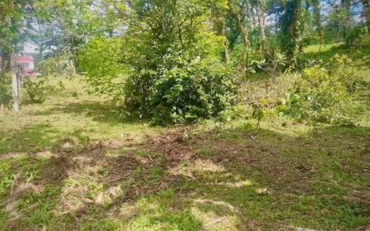 Venta de Lote 91 Anexo La Rioca, La Laguna, Altos del María – MLS 20743