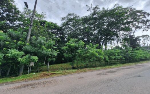 Terreno Campestre en zona suburbana. – MLS 20756