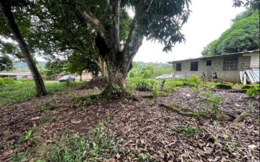 VENDO TERRENO EN CIUDAD BOLIBAR – MLS 21182