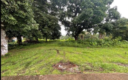 VENDO TERRENO EN CIUDAD BOLIBAR – MLS 21182