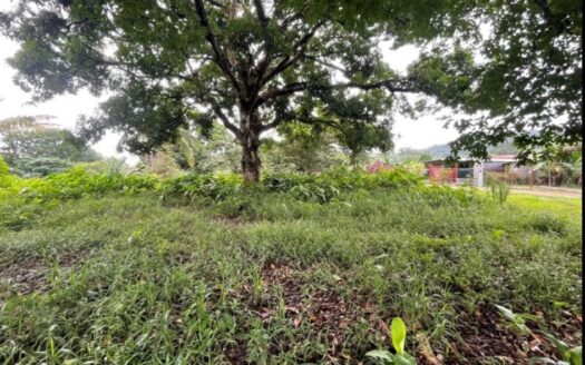 VENDO TERRENO EN CIUDAD BOLIBAR – MLS 21182