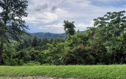Venta de terreno en La Laguna de San Carlos – MLS 21058