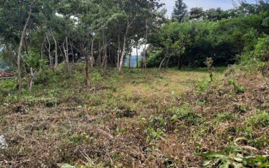 Venta de terreno en La Laguna de San Carlos – MLS 21058