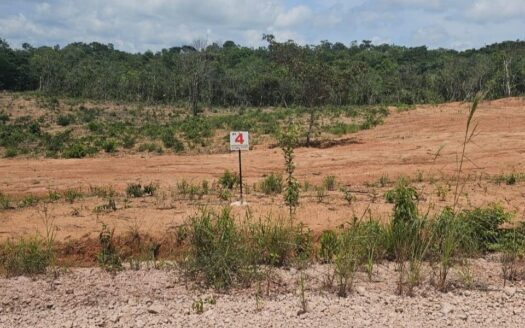 Lote en Venta en Penonomé – MLS 20594