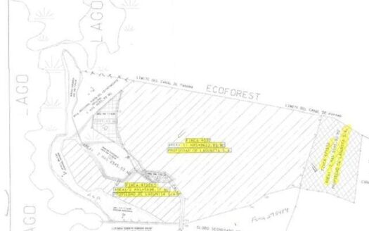 ESPECTACULAR FINCA FRENTE AL LAGO GATUN PARA DESARROLLO – MLS 8530