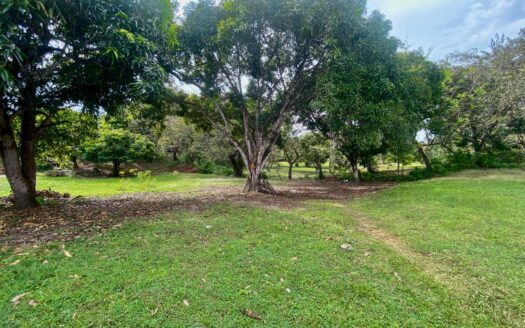 Venta de terreno en Punta Barco – MLS 21734