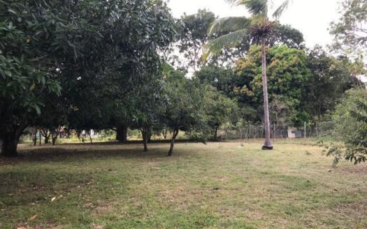 SE VENDE TERRENO EN GORGONA – MLS 15718