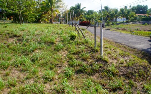 Terreno en venta en El Valle de Los Lirios, San Carlos – MLS 20368