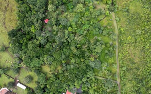 Excelente Lote para Construcción en Caldera Boquete – MLS 20308
