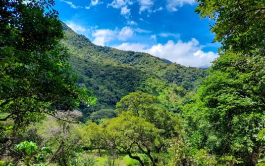 Finca de 2.1 hectáreas en venta en Casita Piedra – MLS 22828