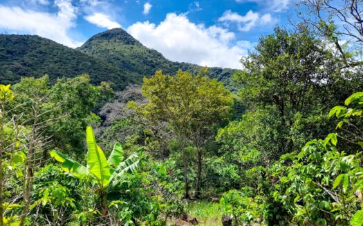 Finca de 2.1 hectáreas en venta en Casita Piedra – MLS 22828