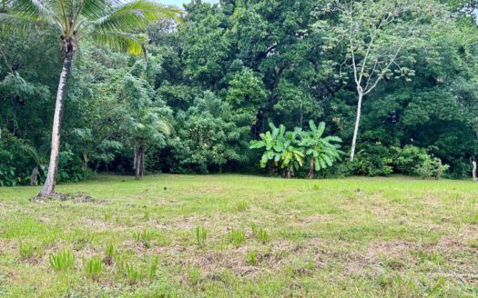 Terreno en Hacienda El Valle de Santa Catalina – MLS 21204