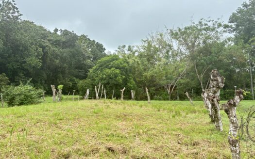 Terreno en Hacienda El Valle de Santa Catalina – MLS 21204