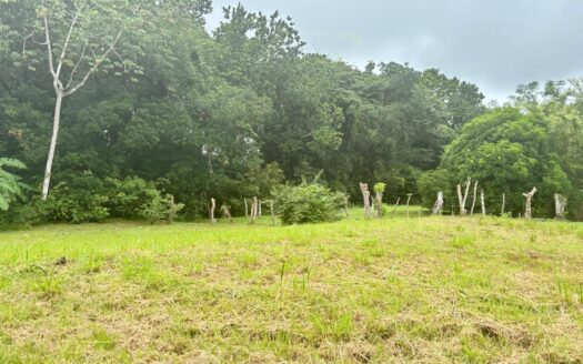 Terreno en Hacienda El Valle de Santa Catalina – MLS 21204
