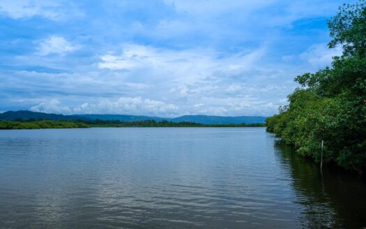 Se vende hotel ecológico sostenible en la jungla – MLS 21087