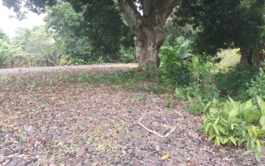 Se Vende Terreno en Arraiján, Panamá Oeste – MLS 20996