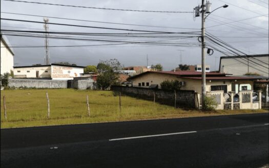 Se alquila terreno en Avenida Libertador, La Chorrera – MLS 19602