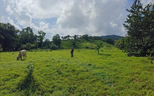 Se vende Finca en Costa Arriba de Colón – MLS 22682