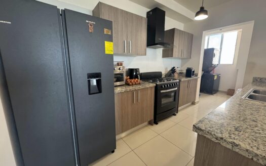 Alquiler de apartamento PH. San Roque, Vía España – MLS 20870