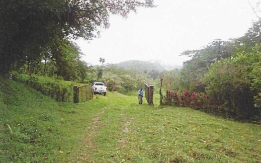 Finca La Sarci, El Valle de Antón – MLS 22789