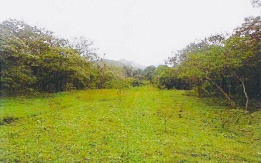 Finca La Sarci, El Valle de Antón – MLS 22789