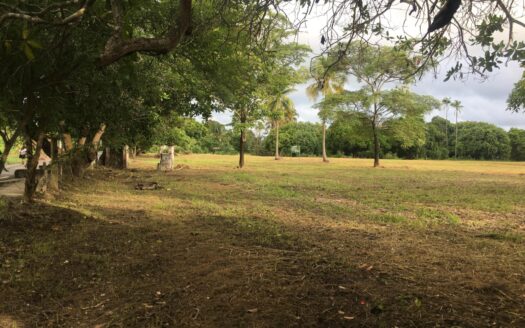 Venta de Terreno en Punta Barco a 100 mts de la Panamericana 2.7 hectáreas – MLS 22677