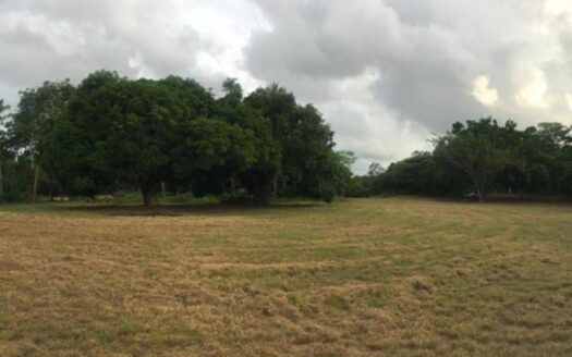 Venta de Terreno en Punta Barco a 100 mts de la Panamericana 2.7 hectáreas – MLS 22677