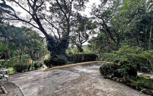 Oportunidad! Se Vende Hermosa Casa en Altos del Maria – MLS 21272