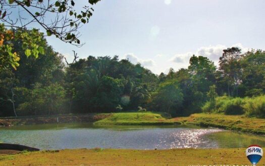 Venta de Lote en Brisas de los Lagos, La Chorrera – MLS 22768