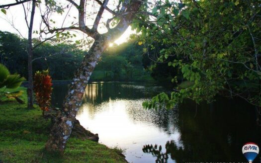 Venta de Lote en Brisas de los Lagos, La Chorrera – MLS 22768