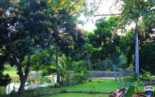 Venta de Lote en Brisas de los Lagos, La Chorrera – MLS 22768