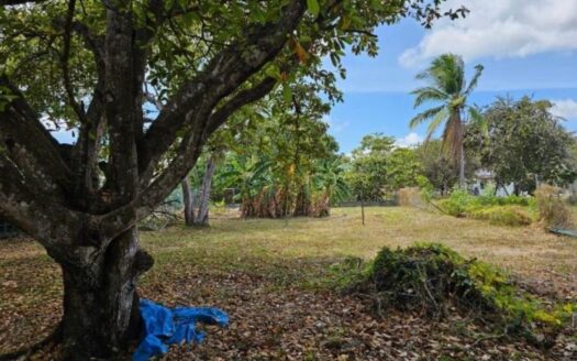 Vendo lote que colinda con el campo de golf del Hotel Coronado Golf – MLS 22679