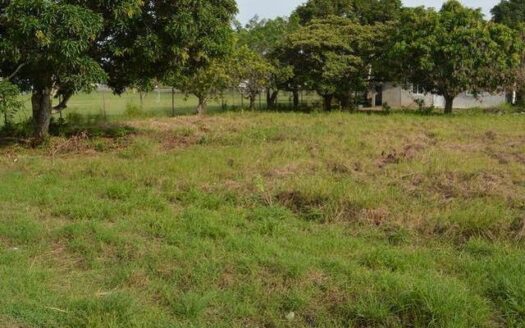 Lote para alquiler cerca de Gorgona Mall – MLS 14442