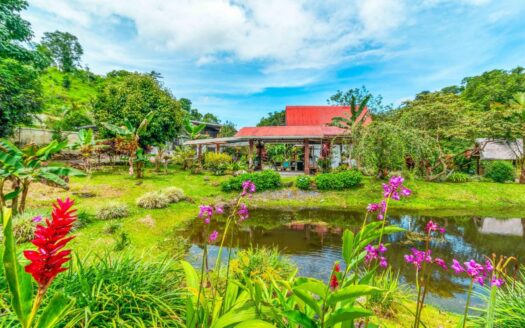 Se Vende Finca con Vistas a la Montaña en Bugaba Panamá – MLS 22667