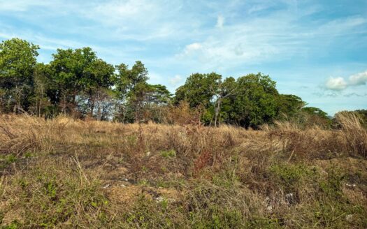 Venta de Terreno de 29Ha en Pacora – MLS 22607