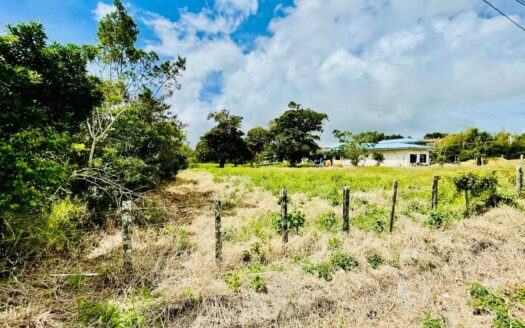 Terreno Plano y Edificable con Vista al Volcán y Acceso a Carretera Princip – MLS 22627