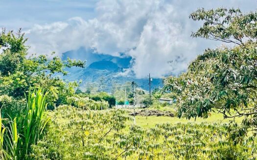 Terreno Plano y Edificable con Vista al Volcán y Acceso a Carretera Princip – MLS 22627
