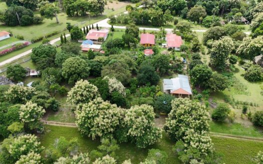 Terreno plano en Santa Clara – MLS 22619