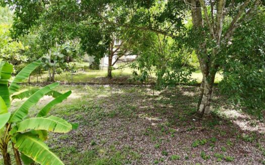 Terreno plano en Santa Clara – MLS 22619