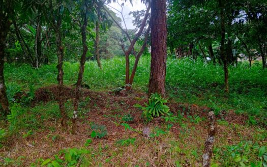 Lote frente a la carretera en Jaramillo – MLS 22594