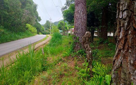 Lote frente a la carretera en Jaramillo – MLS 22594