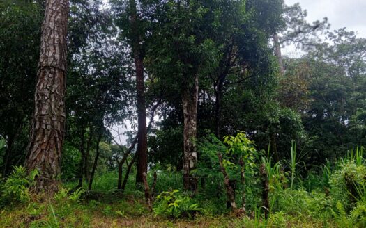 Lote frente a la carretera en Jaramillo – MLS 22594