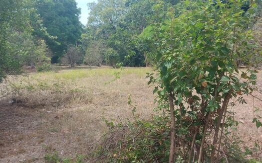 Venta de terrenos en Playa Santa Clara – MLS 22592