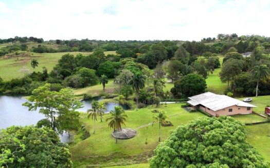 Finca Frente a Lago Gatún – MLS 22579