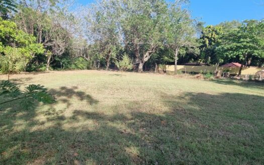 Lote en via principal, cerca del mar en Nueva Gorgona – MLS 20650