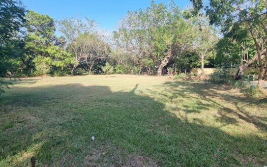 Lote en via principal, cerca del mar en Nueva Gorgona – MLS 20650