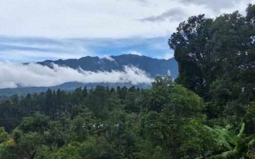 Acogedora cabaña de montaña – MLS 22578