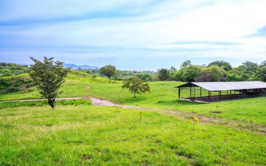 Finca idílica e invernadero en San Carlos Panamá Oeste – MLS 22506