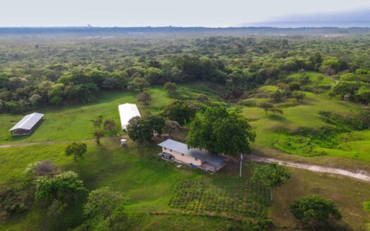 Finca idílica e invernadero en San Carlos Panamá Oeste – MLS 22506